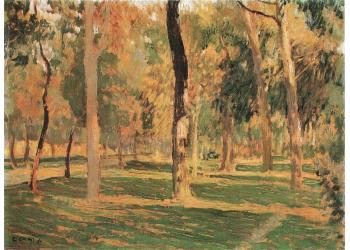 Ottobre alle Cascine Ottobre alle Cascine